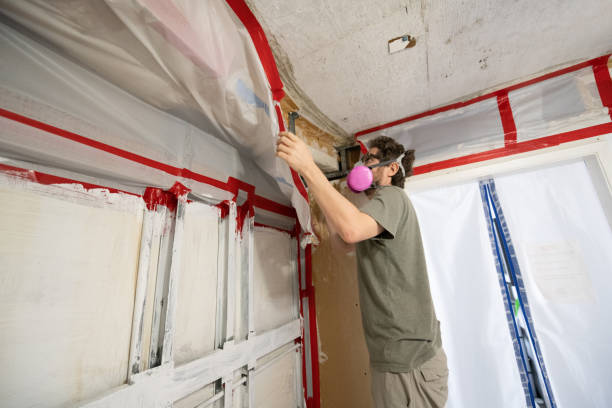 Mold Odor Removal Services in Moultrie, GA